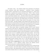 Naujų įrodymų pateikimas apeliaciniame procese 3 puslapis