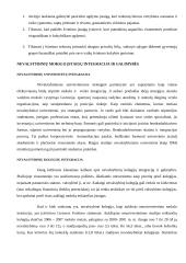 Nevalstybinio švietimo sektoriaus plėtra 11 puslapis