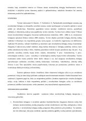 Nevalstybinio švietimo sektoriaus plėtra 13 puslapis