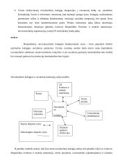 Nevalstybinio švietimo sektoriaus plėtra 16 puslapis