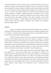 Nevalstybinio švietimo sektoriaus plėtra 20 puslapis