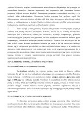 Nevalstybinio švietimo sektoriaus plėtra 3 puslapis