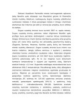 Nevėžio upės valymo darbai Panevėžio mieste 8 puslapis
