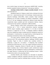 Nevėžio upės valymo darbai Panevėžio mieste 9 puslapis