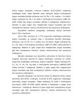 Nevėžio upės valymo darbai Panevėžio mieste 10 puslapis