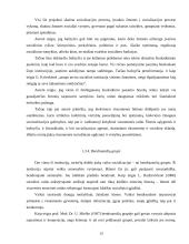 Nežymiai sutrikusio intelekto vaikų socializacija, jos ypatumai 13 puslapis