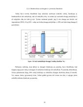 Nežymiai sutrikusio intelekto vaikų socializacija, jos ypatumai 19 puslapis