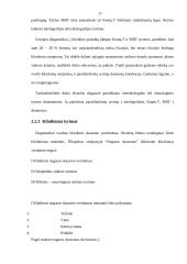 Nugaros skausmai, kurio dažniausia priežastis – tarpslankstelinio disko išvarža 17 puslapis