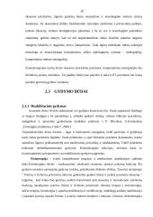 Nugaros skausmai, kurio dažniausia priežastis – tarpslankstelinio disko išvarža 20 puslapis