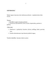 Nugaros skausmai, kurio dažniausia priežastis – tarpslankstelinio disko išvarža 3 puslapis