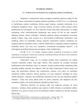 Nusikaltimo padarymo stadijos 17 puslapis