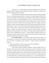 Nusikaltimo padarymo stadijos 4 puslapis