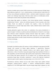 Optinio tinklo projektavimas: šviesolaidinė linija Žirmūnai – Antakalnis – Naujoji Vilnia 6 puslapis