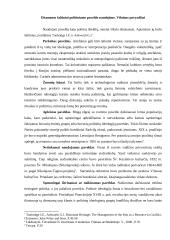 Paveldas kaip politinis išteklius. Carinės Rusijos politikos pavyzdžiai Vilniuje 4 puslapis