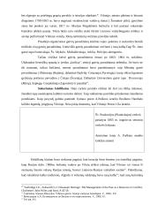 Paveldas kaip politinis išteklius. Carinės Rusijos politikos pavyzdžiai Vilniuje 5 puslapis