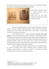 Paveldas kaip politinis išteklius. Carinės Rusijos politikos pavyzdžiai Vilniuje 6 puslapis