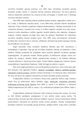 Pensijų ir socialinių pašalpų dinamikos statistinė analizė 4 puslapis