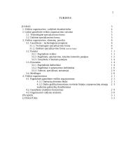 Įmonės gamybinio padalinio organizavimas 2 puslapis