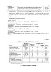 Įmonės gamybinio padalinio organizavimas 19 puslapis