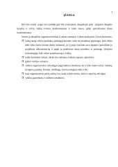 Įmonės gamybinio padalinio organizavimas 3 puslapis