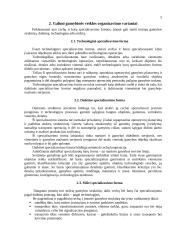 Įmonės gamybinio padalinio organizavimas 5 puslapis