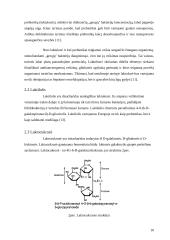 Prebiotikai naudojami pieno pramonėje 10 puslapis