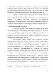 Prebiotikai naudojami pieno pramonėje 13 puslapis