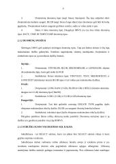 Reliacinės duomenų bazių valdymo sistemos 6 puslapis