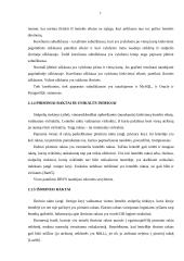 Reliacinės duomenų bazių valdymo sistemos 7 puslapis