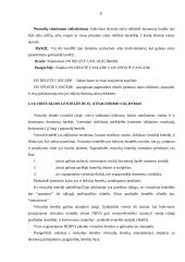 Reliacinės duomenų bazių valdymo sistemos 8 puslapis