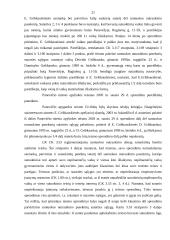 Santuoka ir santuokos nutraukimas 19 puslapis