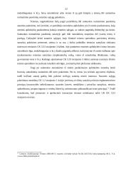 Santuoka ir santuokos nutraukimas 20 puslapis