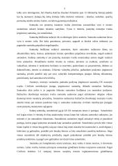 Santuoka ir santuokos nutraukimas 3 puslapis