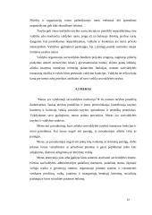 Savivaldybės Lietuvoje 12 puslapis