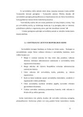 Savivaldybės Lietuvoje 15 puslapis