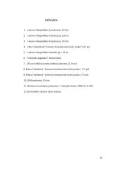 Savivaldybės Lietuvoje 20 puslapis