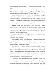 Savivaldybės Lietuvoje 6 puslapis