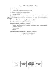 Skurdo ir nelygybės rodiklių apskaičiavimas 17 puslapis