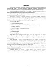 Skurdo ir nelygybės rodiklių apskaičiavimas 3 puslapis