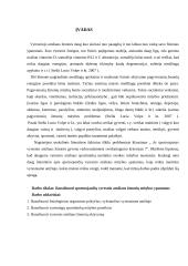 Sportuojančių vyresniojo amžiaus žmonių mitybos ypatumai 3 puslapis
