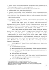 Svetimšalių teisinė padėtis Lietuvoje 1918-1940 metais 12 puslapis