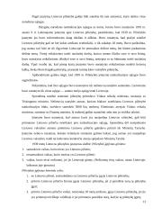 Svetimšalių teisinė padėtis Lietuvoje 1918-1940 metais 13 puslapis