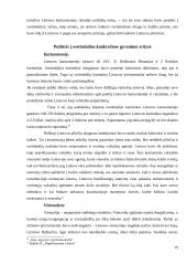 Svetimšalių teisinė padėtis Lietuvoje 1918-1940 metais 19 puslapis