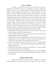 Svetimšalių teisinė padėtis Lietuvoje 1918-1940 metais 3 puslapis