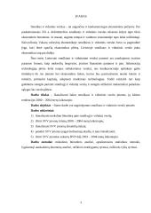 Šalies smulkaus ir vidutinio verslo statistinė analizė 3 puslapis