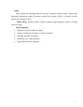 Šeimos santykių aspektai pagal Kazimiero teisyną ir Pirmąjį Lietuvos Statutą 2 puslapis