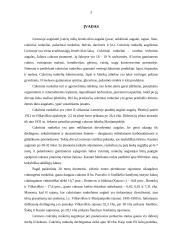 Šiaulių apskrities žemės ūkio bendrovių cukrinių runkelių plotų, derliaus ir derlingumo statistinė apskaita ir analizė 3 puslapis