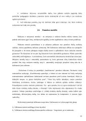 Švietimo įstaigų įvertinimas Šiaulių mieste 13 puslapis