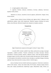 Švietimo įstaigų įvertinimas Šiaulių mieste 10 puslapis