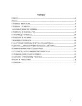 Švietimo sistemos Lietuvoje analizė 2 puslapis